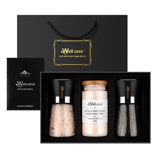 ������ WG-203 ������� ��ũ��Ʈ �������� �׶��δ� ������Ʈ[��ũ�ұ� �������� 200G, ������ 100G, ��ũ�ұ� �������� 300G] 