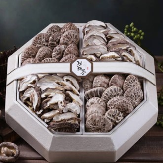 ���ظ� �Ȱ� ������� ��Ʈ